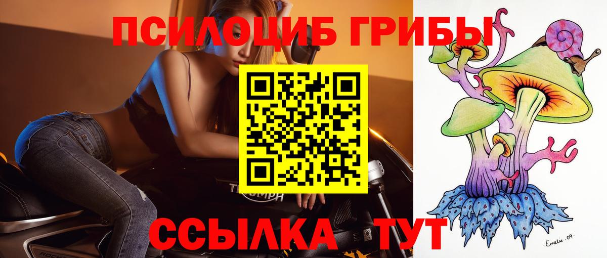 Псилоцибиновые грибы MAGIC MUSHROOMS  Вход с VPN  магазин    Щёкино 
